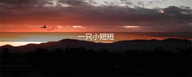 有一种美叫“一只小短短的七寸金莲”，虽然很大，但韵味十足！(一只小短短)