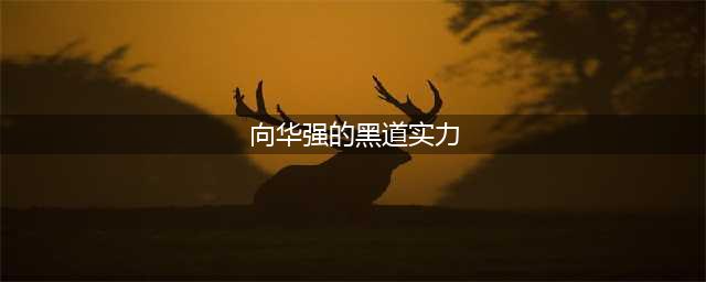 向华强到底什么来头在香港的实力有多大？(向华强的黑道实力)