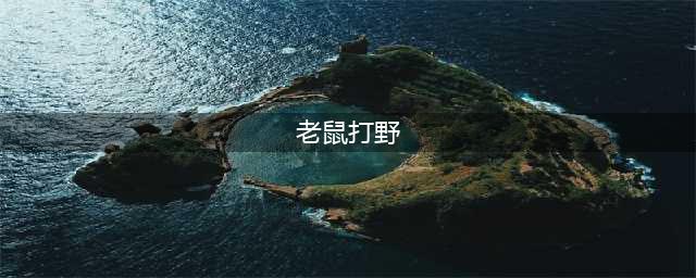 《lol》s11老鼠打野天赋 老鼠打野天赋推荐(老鼠打野)