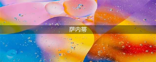 《FIFA18》萨内蒂生涯故事及数据解析(萨内蒂)