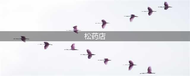 《松药店的儿子们》10年：小儿子最红，他俩结婚了，最美的她退圈(松药店)