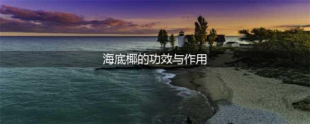 养生∣海底椰的营养价值及禁忌(海底椰的功效与作用)