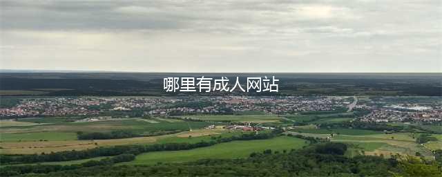 8个必不可少的成人资源网站推荐(哪里有成人网站)