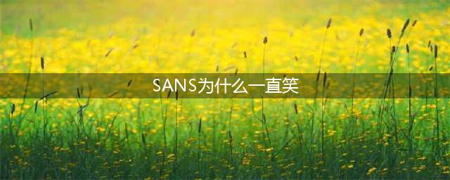 Sans这个其貌不扬的“懒骨头”，为什么会有着如此巨大的魅力？(SANS为什么一直笑)