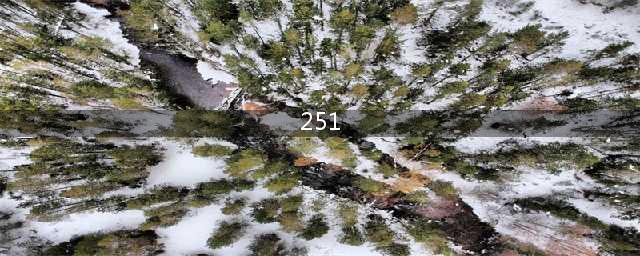 超251万辆次，这个暑期舟山有点“燚”！(251)