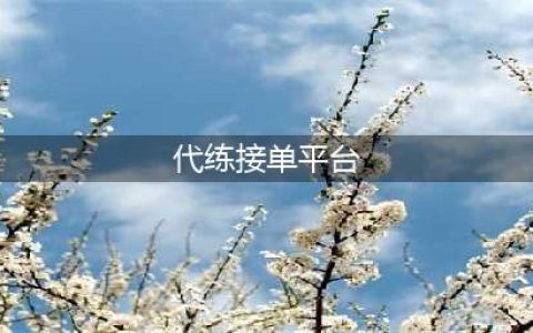 游戏代打接单平台哪个好 靠谱代练接单平台推荐(代练接单平台)
