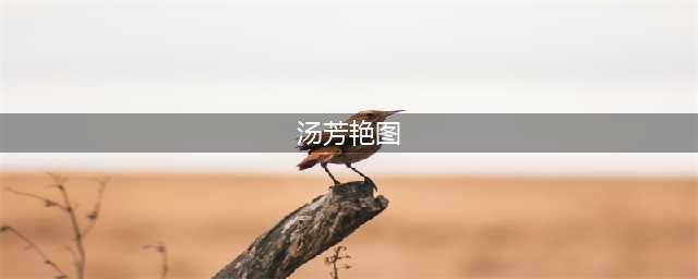1男2女艳照或为私拍裸模 揭秘裸模工作实录(图)(汤芳艳图)