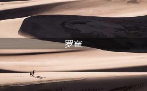 《生存日记》赏金猎人罗霍装备搭配推荐 赏金猎人罗霍装备如何搭(罗霍)