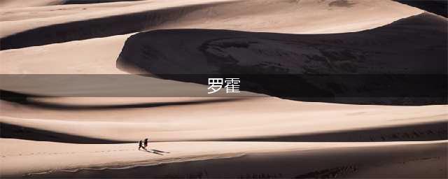 《生存日记》赏金猎人罗霍装备搭配推荐 赏金猎人罗霍装备如何搭(罗霍)