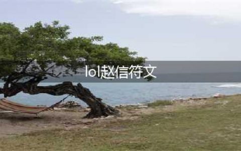 《LOL》赵信符文哪个好 赵信符文选择分享(lol赵信符文)