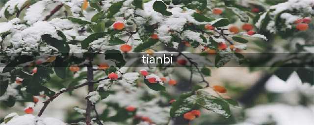 “舔阴癖”是什么意思？为什么很多女性都沉迷其中？你知道吗(tianbi)