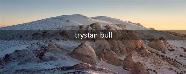 FIM 极限耐力越野世界锦标赛 2023 第三站：红牛罗马尼亚(trystan bull)