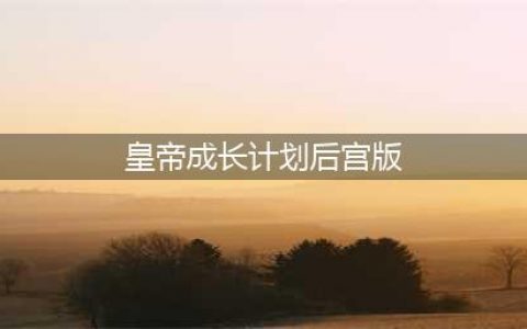 皇帝成长计划2后宫模式攻略