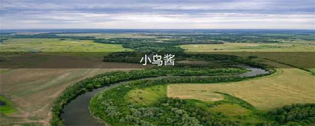 神秘网红“小鸟酱”终于被曝光！因卖“大尺度视频”获刑一年半？！(小鸟酱)