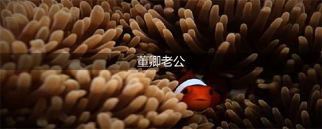 50岁董卿近况：百亿丈夫已成老赖，她复出无望人生落寞(董卿老公)