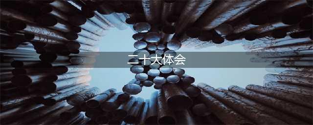 学习二十大心得体会(二十大体会)
