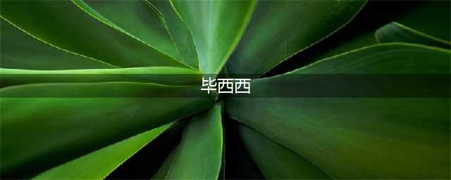 或因学习压力大，中国留学生5枪把妻子爆头，剁下鼻子脸颊和双手！狂奔15小时抛尸...(毕西西)
