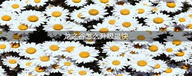 《龙之谷2》如何快速升级 快速升级方法(龙之谷怎么升级最快)