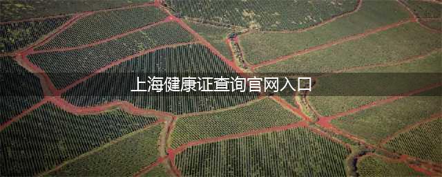 上海健康证查询信息系统网址入口(上海健康证查询官网入口)