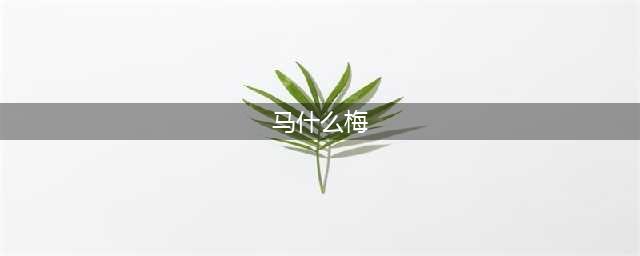 “什么冬梅？马什么梅？马冬什么？”其实这个大爷是故意的(马什么梅)