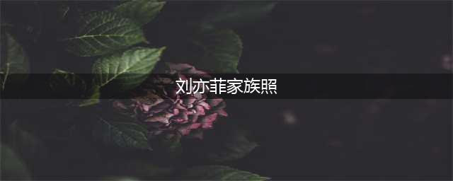 刘亦菲家族照曝光，原来刘亦菲真得是家族里最丑！(刘亦菲家族照)