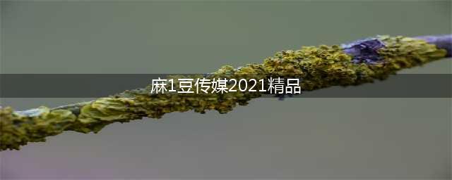“麻豆传媒”拍摄团队被抓获，制作淫秽视频50余部获利500多万元(麻1豆传媒2021精品)