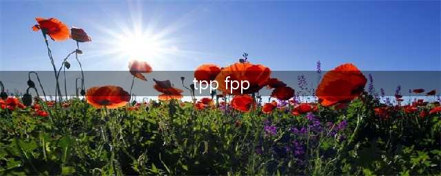 《绝地求生》FPP和TPP模式区别一览 fpp和tp有什么不同(tpp fpp)