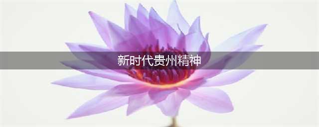 什么是新时代贵州精神？一大波全国专家学者正在认真解读(新时代贵州精神)