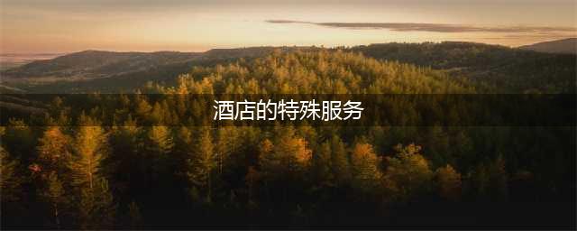 有多少人错过了五星级酒店隐藏的特殊服务？(酒店的特殊服务)
