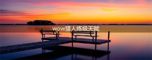 魔兽世界wlk猎人升级天赋怎么点