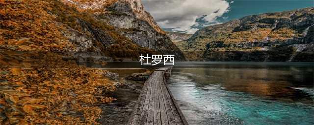 《dnf》杜罗西npc在哪 杜罗西npc位置分享(杜罗西)