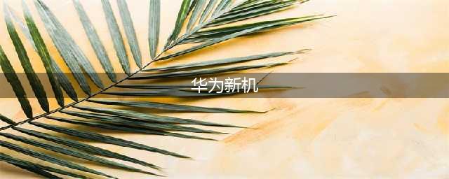 华为新款5G新机来袭，不用手机壳外挂，一样支持5G网络(华为新机)