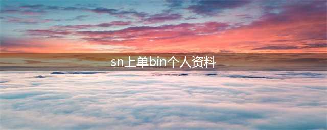 《LOL》SN上单Bin是谁 SN战队Bin选手个人资料介绍(sn上单bin个人资料)