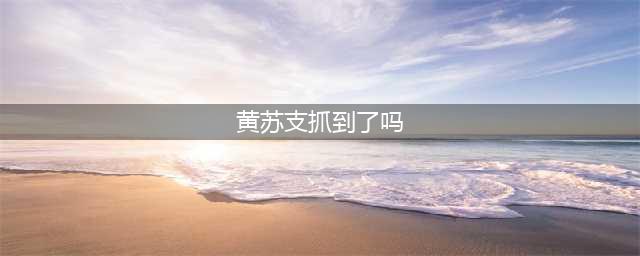 第三方支付钱宝科技因开假账户等十项违规，被央行罚款868万元(黄苏支抓到了吗)