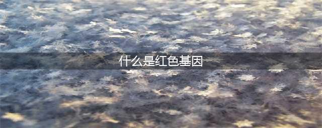 什么是红色基因(什么是红色基因)