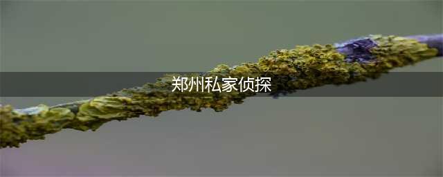 如何选择合适的郑州私人调查所(郑州私家侦探)