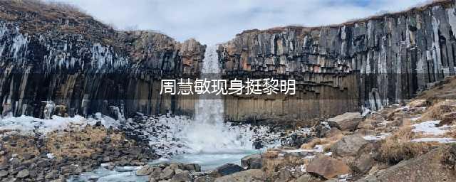 周慧敏现身挺黎明 金童玉女组合为什么没在一起(周慧敏现身挺黎明)
