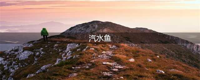 什么是汽水鱼？汽水鱼如何饲养？| 【水族圈低调分享】(汽水鱼)