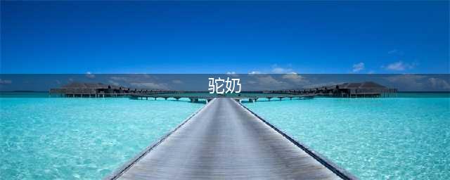 骆驼奶的6大好处和3大缺点(驼奶)