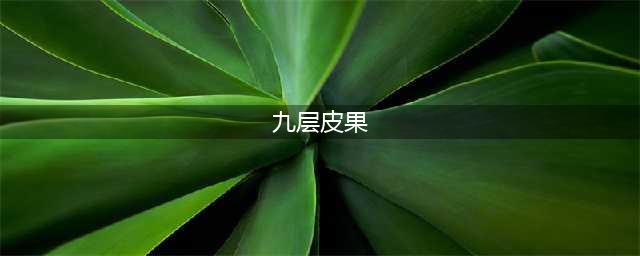 东莞这种“九层皮”火了！它全身都是宝，你吃过吗？(九层皮果)
