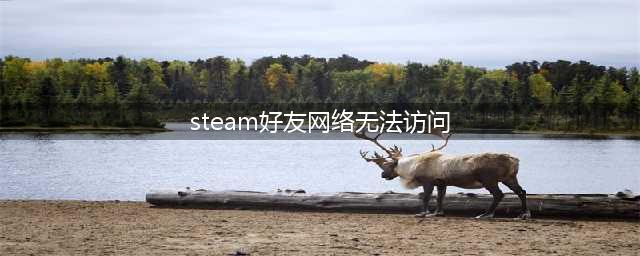 steam好友网络无法访问怎么办？好友网络无法访问解决方法(steam好友网络无法访问)