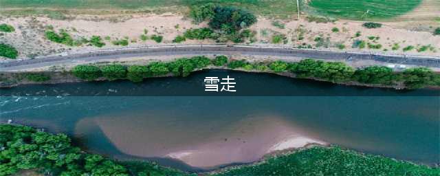 《烟雨江湖》雪走厉害吗 雪走属性强度评测