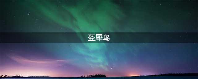 盔犀鸟的灭顶之灾：我的头骨究竟有多值钱？(盔犀鸟)