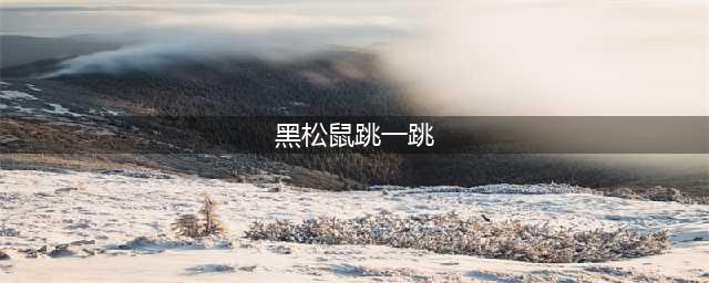 《跳一跳》黑松鼠外挂安卓版辅助外挂使用方法说明