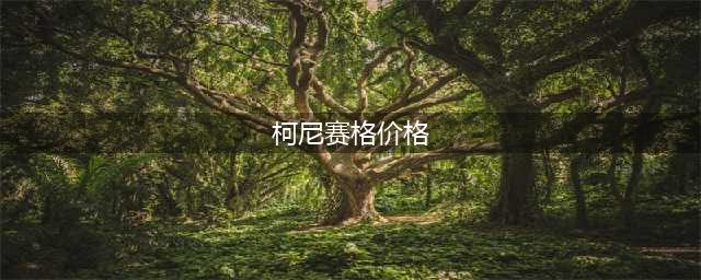 王牌竞速柯尼塞格Regera价格一览(柯尼赛格价格)
