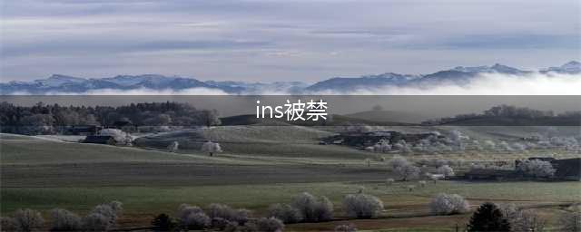刚注册的ins账号就被停用了，怎么办？不用怕，三种方式让你恢复自己的账号(ins被禁)