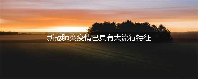 世卫组织：新冠肺炎疫情“已具有全球大流行特征”(新冠肺炎疫情已具有大流行特征)