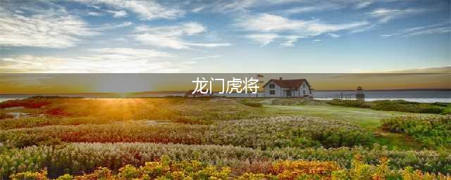 一统江山在此时《龙门虎将》的权力之争“国王争夺战”(龙门虎将)