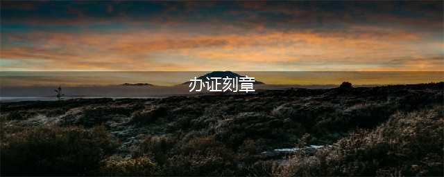 刻章备案在哪里办理？一看就懂的详细教程(办证刻章)