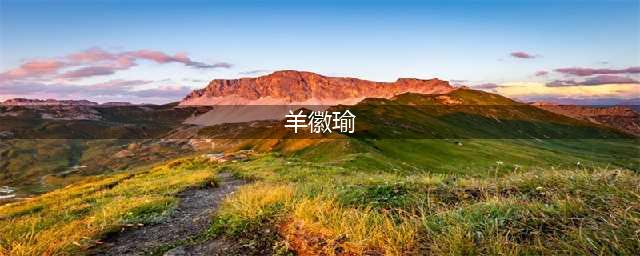 羊徽瑜重置如何获取(羊徽瑜)